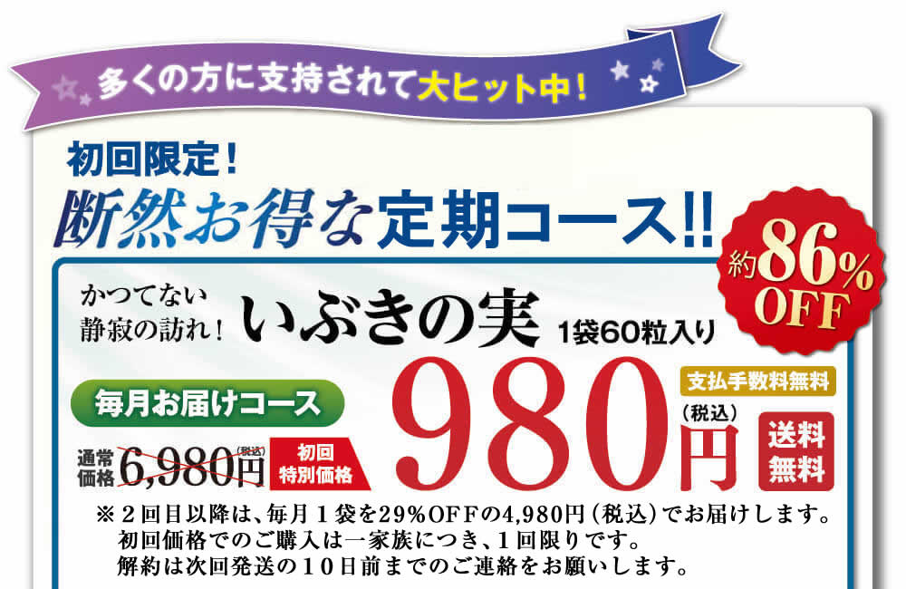 初回限定300名様限定の特別キャンペーンに申し込む