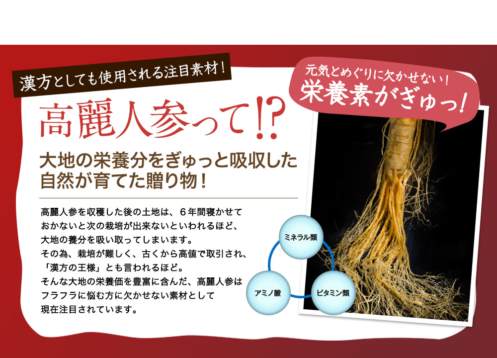 漢方としても使用される注目素材!栄養素がぎゅっ!