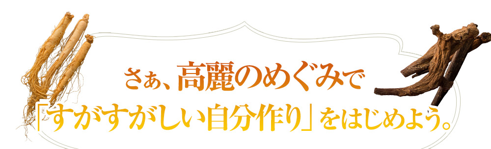 高麗のめぐみで「すがすがしい健康な自分作り」をはじめよう。