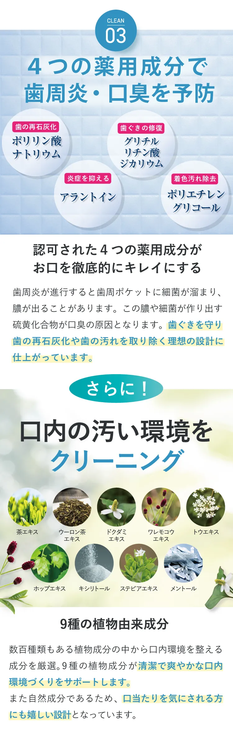 CLEAN03 口内の原因菌を徹底殺菌