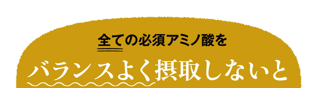 休息アミノ酸だけではなく、バランスよく摂取しないと意味がない