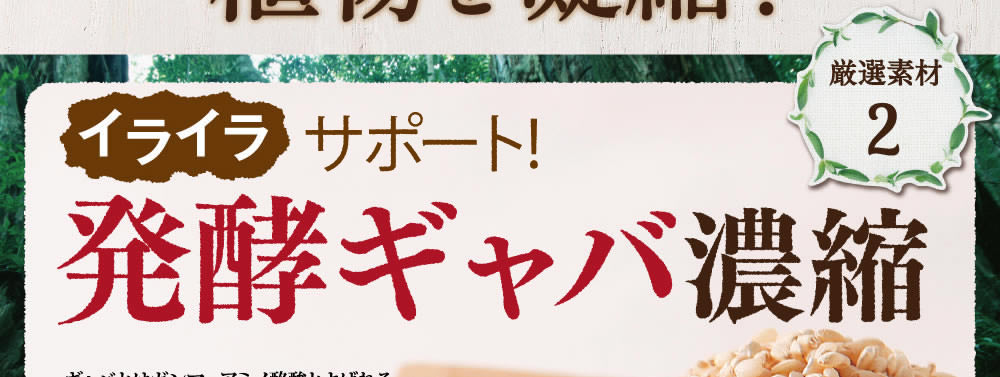 イライラに打ち勝つ発酵ギャバ濃縮