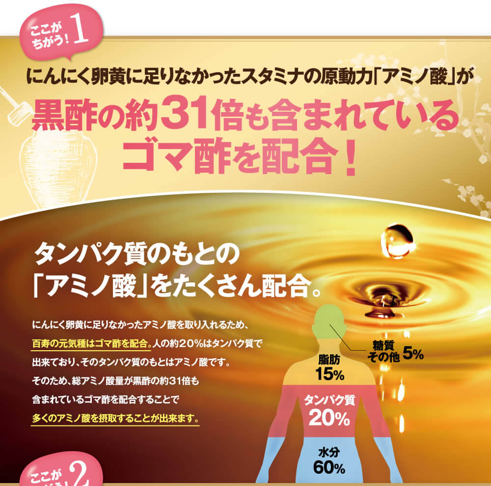 黒酢の３１倍のアミノ酸