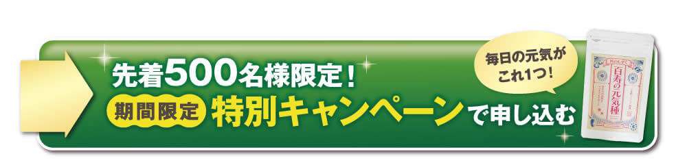 先着500名様限定。特別キャンペーンで申し込む