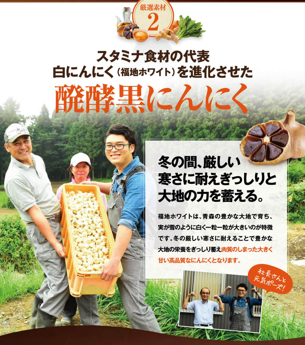 スタミナ食材の代表、白にんにくを進化させた発酵黒にんにく