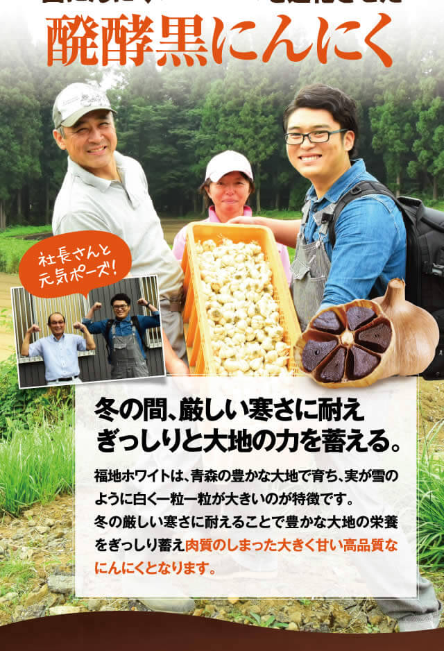 スタミナ食材の代表、白にんにくを進化させた発酵黒にんにく