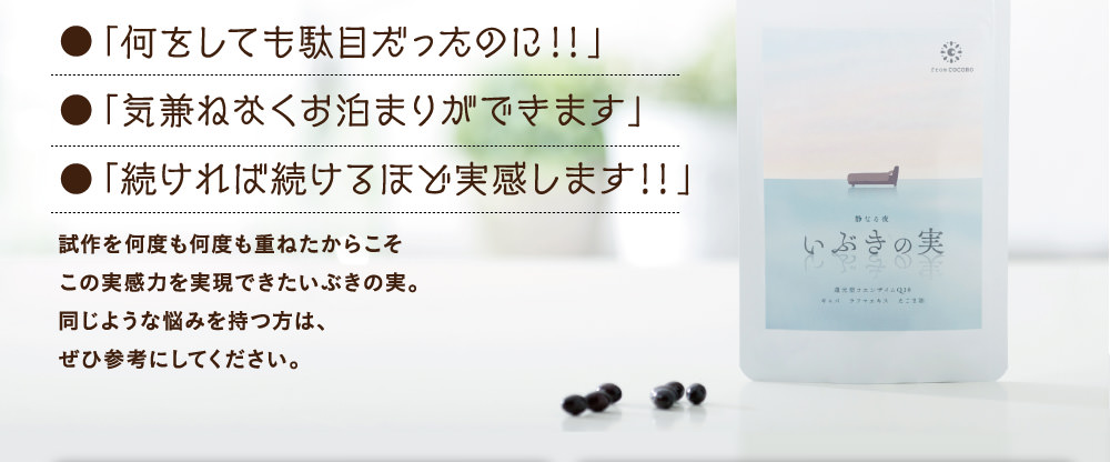 試作を何度も何度も重ねたからこそこの実感力を実現できたいぶきの実。