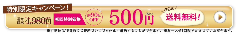 先着300名様限定。海宝の力特別キャンペーンで申し込む。