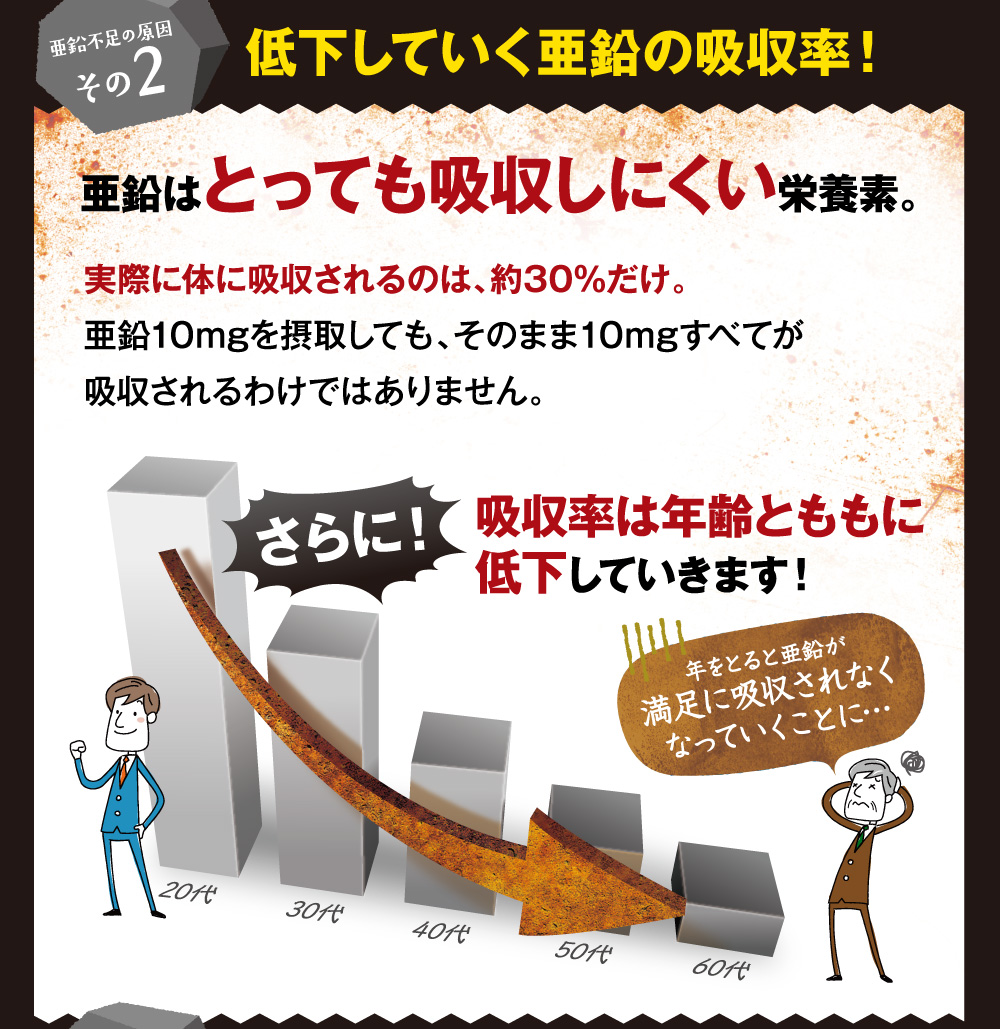 促進 亜鉛 の 吸収