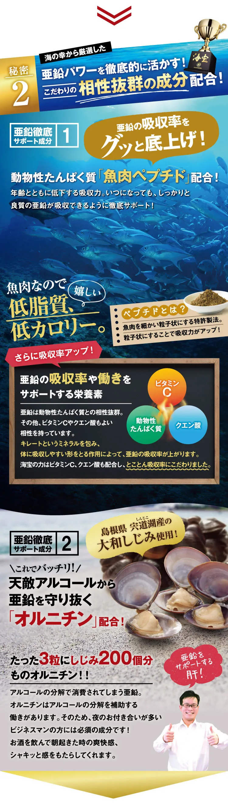 亜鉛と相性抜群のサポート成分配合。お酒の味方オルニチンも配合。