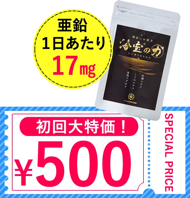 初回500円 ｢海宝の力｣を今すぐ申し込む