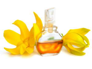 イランイランの香水は官能的でエキゾチック！人気アイテム15選を一挙ご紹介