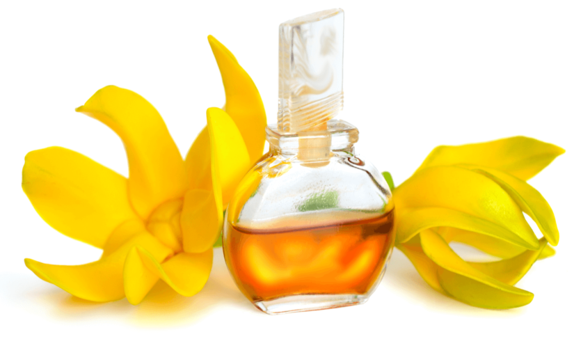 イランイランの香水は官能的でエキゾチック！人気アイテム15選を一挙ご紹介