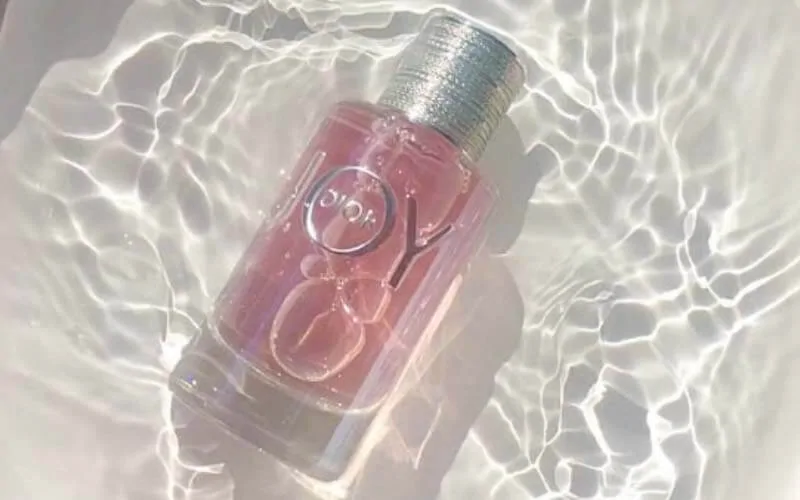 4955439e99ff716028ee84d09666c1