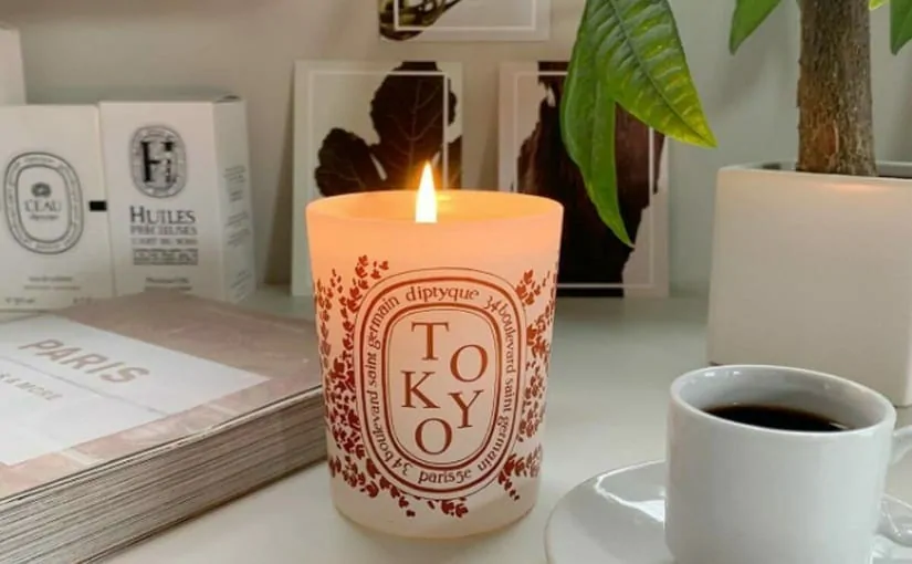 二回使用　リフレッシュキャンドル リフレッシュキャンドル バジル 190g | Diptyque Paris