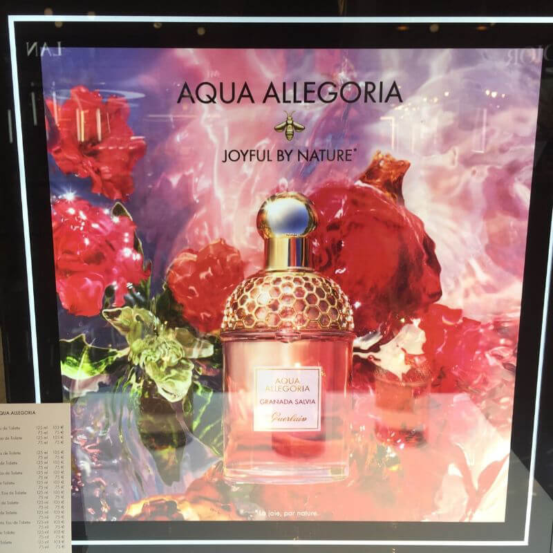 Aqua Allegoria