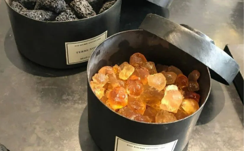 85d07a5e9a41caa18679d7ce34485a