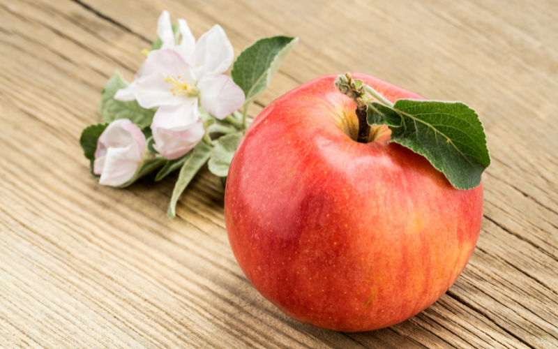 リンゴの香りのイメージ画像