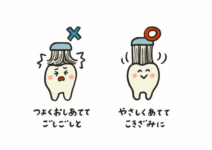 正しい歯磨きの方法