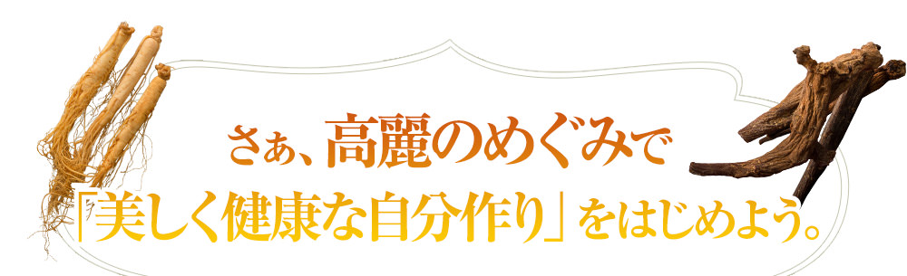 高麗のめぐみで「美しく健康な自分作り」をはじめよう。