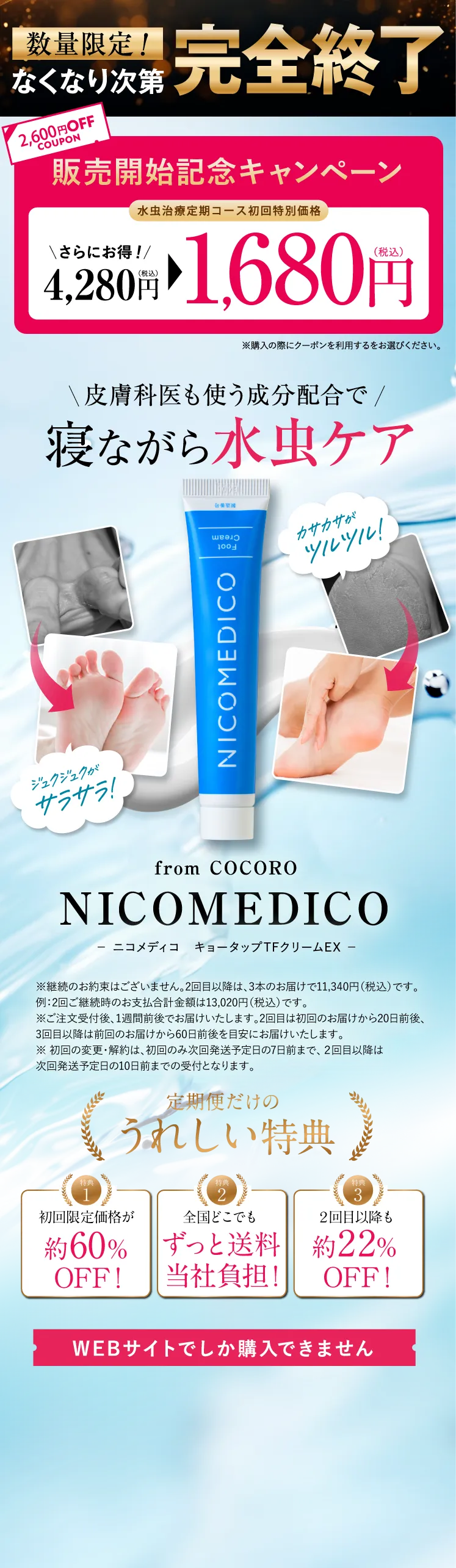 １番お得な定期コース