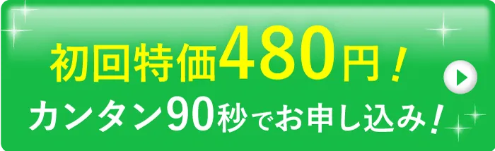 お得なキャンペーンで購入する(ボタン)