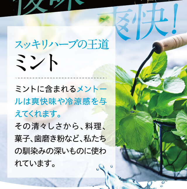 ミントフレーバー