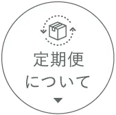 定期便
