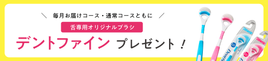 デントファインプレゼント！